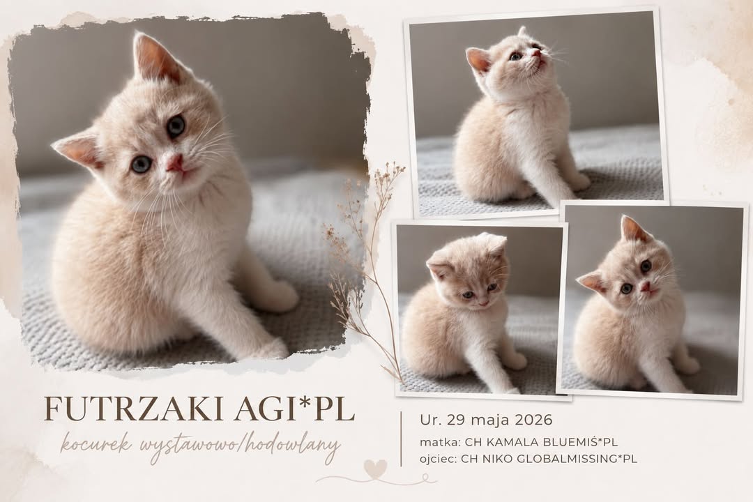 Futrzaki Agi