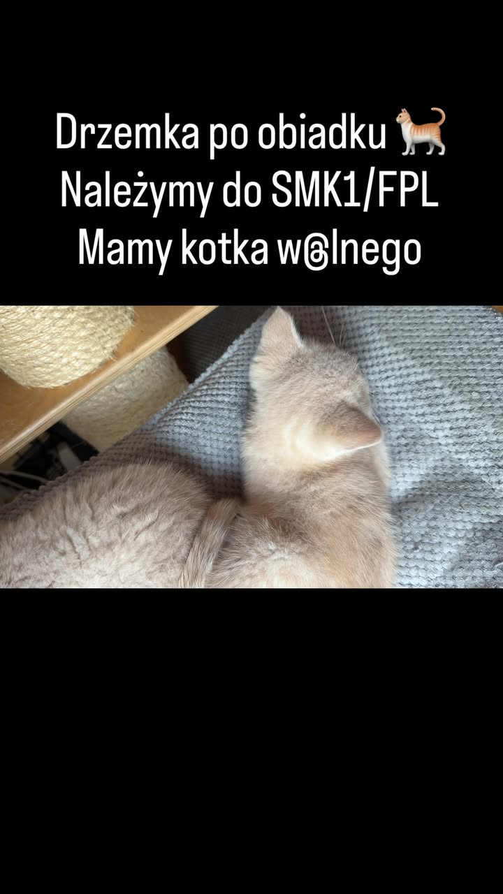 Futrzaki Agi